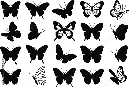 Butterfly silhouette collection, insect vector set, black wing shapes, minimalist design, entomology reference, nature icon pack, graphic illustration bundle