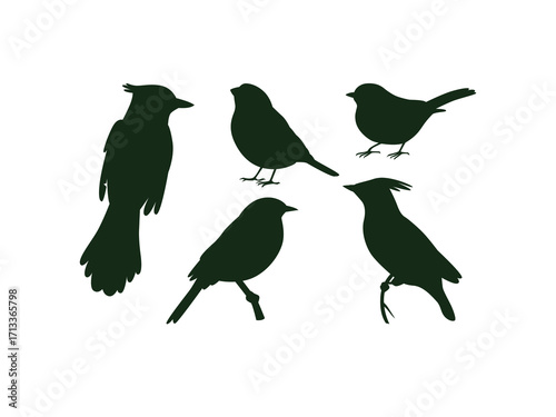 Assorted bird silhouette vector set featuring flying and perched birds in various shapes and postures, perfect for nature themes, wildlife art, and decoration