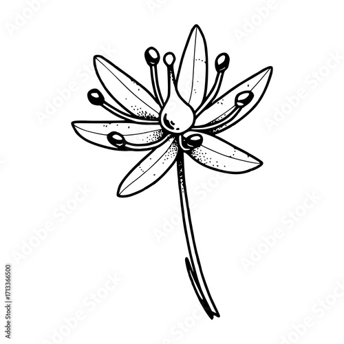 delicate botanical vector design