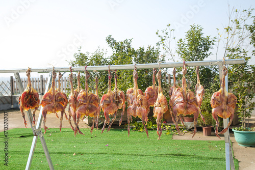 Fotografija Air-dried chickens hanging on rack, traditional Hubei local specialty ready-to-e