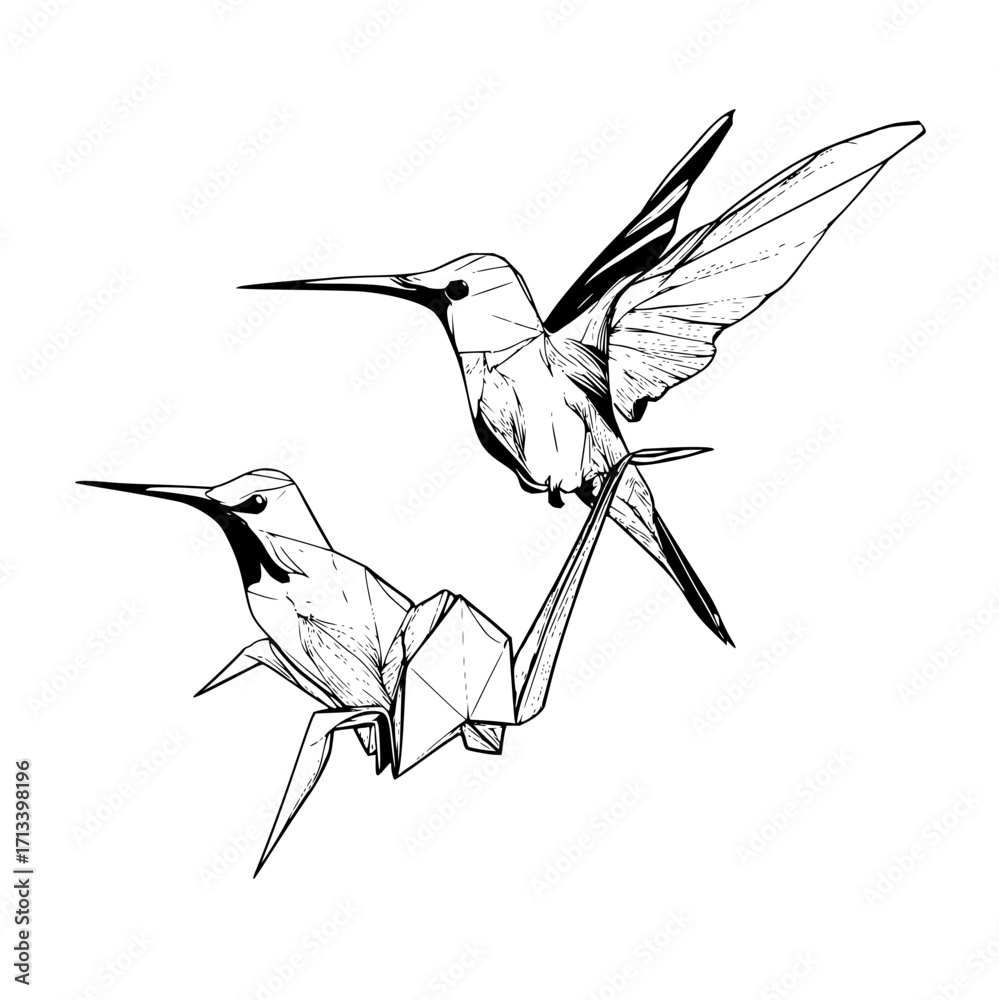 Obraz premium Two stylized hummingbirds one origami and one realistic in black and white line art illustration