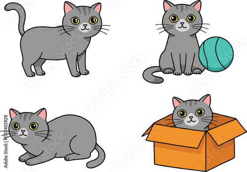 Cute gray cartoon cat illustrations, playful kitten poses, sitting with ball, crouching alert, hiding in cardboard box, adorable pet artwork