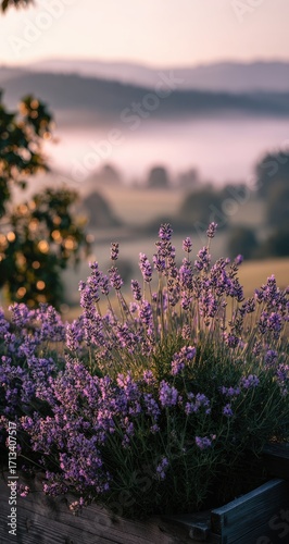 A vibrant cluster of lavender blossoms in the foreground, sharply focused against a softly blurred backdrop of rolling hills veiled in morning mist and bathed in the warm glow of sunrise