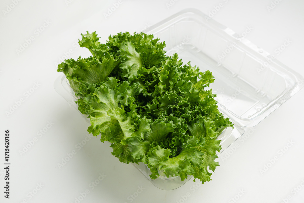 Fototapeta premium Fresh green lettuce in plastic container isolated on white background