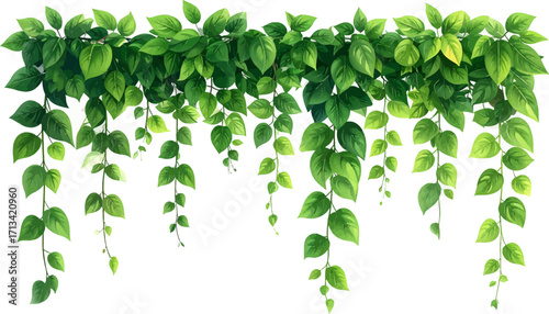 Lush green vines for natural decor. Elegant greenery cascading on white. Fresh leaf decoration for interior style. Nature-inspired green foliage backdrop. Vibrant green vines for room aesthetics