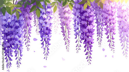 Soft wisteria flowers hanging gently. Delicate purple flower cascading. Elegant floral wisteria art piece. Purple hanging flowers design. Wisteria flowers in full bloom. Gentle purple wisteria cascade