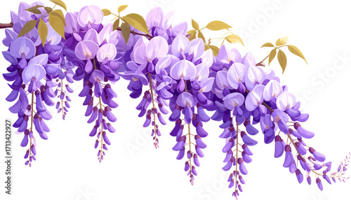 Purple wisteria in vibrant design. Floral wisteria artwork illustration. Elegant purple flower wisteria cascade. Blooming wisteria flowers art. Stylized wisteria flowers hanging. Purple wisteria art