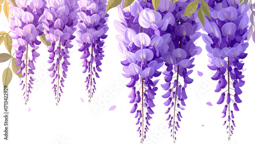 Beautiful purple wisteria flowers. Delicate wisteria blossom pattern. Soft purple hanging wisteria art. Vibrant purple floral illustration. Elegant wisteria hanging artwork. Purple floral cascade