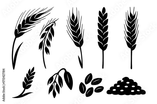 Set of black silhouette illustrations of grain crops. Vector icons of wheat, rye, barley, and oat stalks and seeds. Cereal and agriculture concept for farm or food design.