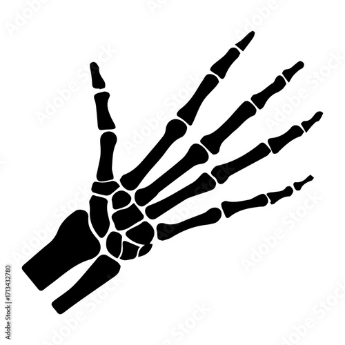 Skeletal Hand Illustration