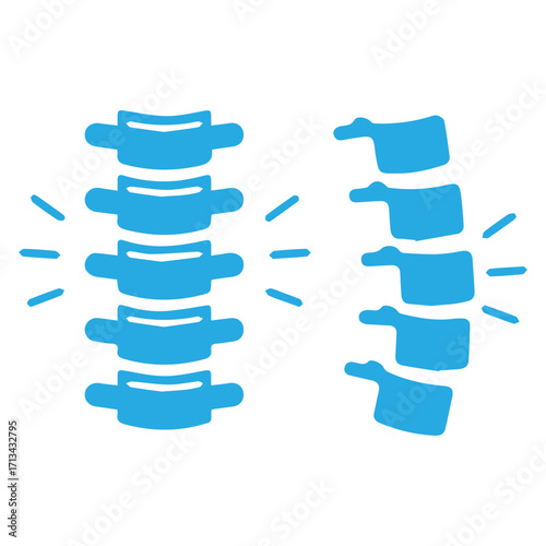 Spinal Column Illustration