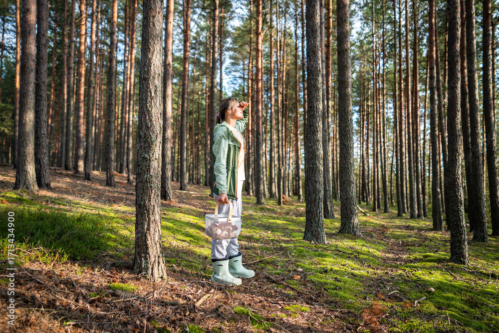 Fototapeta premium Relaxed woman with mushroom basket enjoying forest view looking forward, covering eyes in dense fall pine woodland. Female traveler with basket walk in woodland alone, mindfulness and slow living