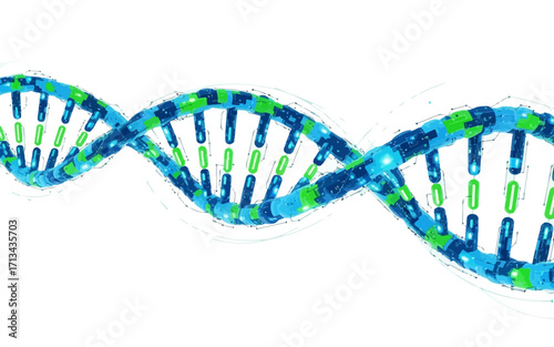 Illustration of a double helix dna structure with blue and green elements on a white background view
