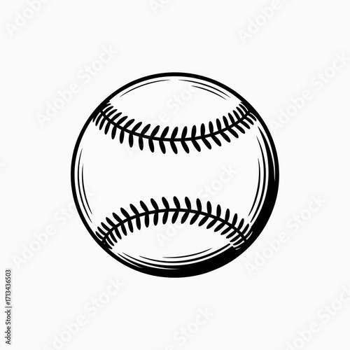 baseball vector illustration