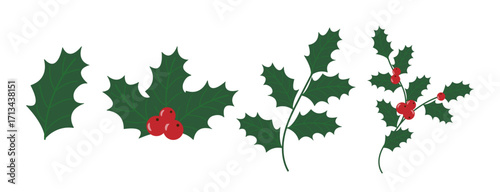 Holly Leaves, Branch and Red Berry set isolated on Transparent background. Christmas Element in Simple Flat Style. Vector Illustration  Icon, Mistletoe and Leaf, Red Ilex Branch. Xmas Botanical Plant.