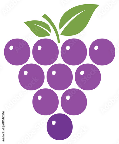 Illustration of purple grapes with green leaves in a simple flat design style