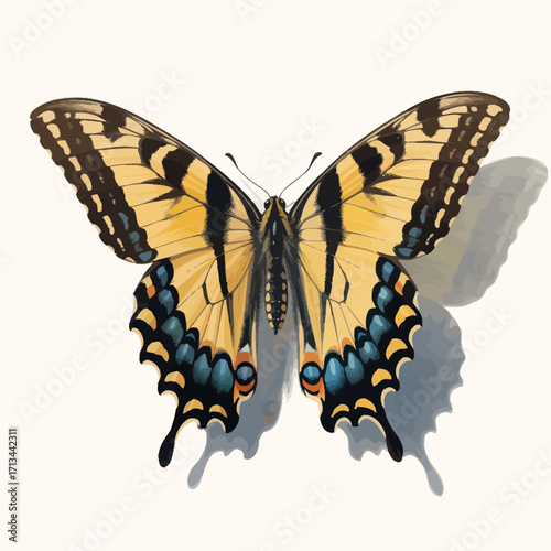 Detailed illustration of a beautiful yellow and black swallowtail butterfly