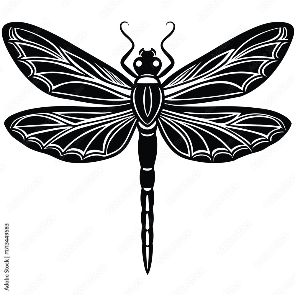 Fototapeta premium dragonfly on white background