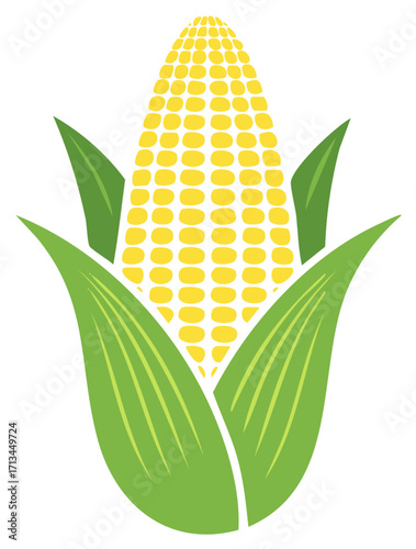 Stylized yellow corn on the cob vector illustration with green husks