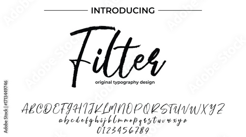 Filter - Elegant Script Font for Smooth Handwritten Design and Creative Typography