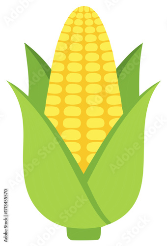Fresh Corn Cob with Green Husks Vector Illustration