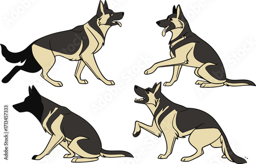 Diverse german shepherd dog collection featuring various poses and expressions for design projects