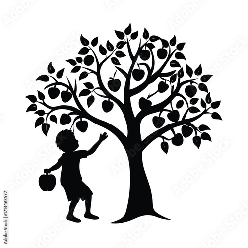 Boy reaching for apple on tree silhouette fruit