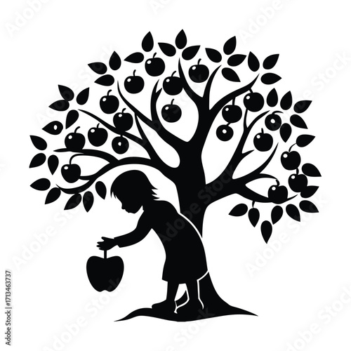 Child picking apple from tree silhouette fruit
