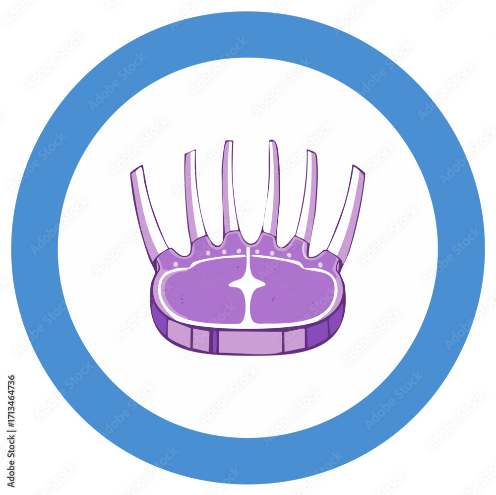 Obraz premium Regal Crown Roast of Lamb Meat Cut Vector Illustration Icon