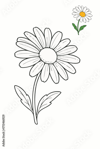 Simple Daisy Flower Coloring Page with Example.