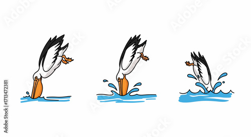 A sequence of three cartoon illustrations showing a pelican diving into water to catch a fish.