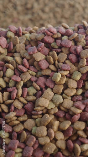 Colorful pet food ready for feeding time