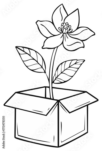 Simple Outline Drawing of a Potted Flower in a Cardboard Box