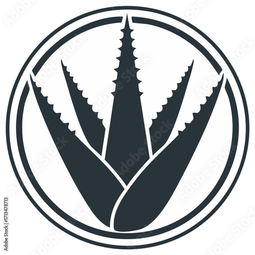 Aloe vera plant silhouette inside a circular frame, organic wellness logo