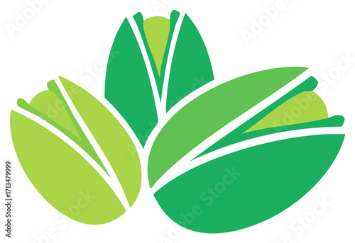 Stylized green pistachio nuts with simple clean lines and modern abstract design