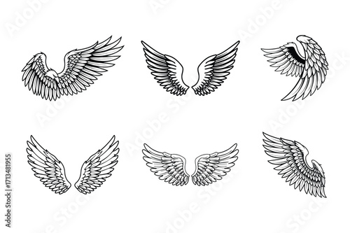 Set of Angel Wings Collection with Feathers – Black and White Tattoo Art