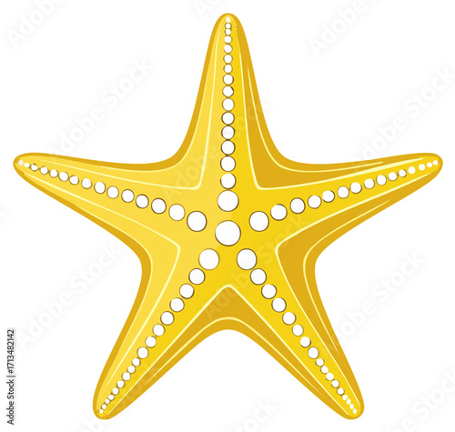 Illustrated Golden Starfish: Ocean Fauna, Marine Creature Vector Illustration