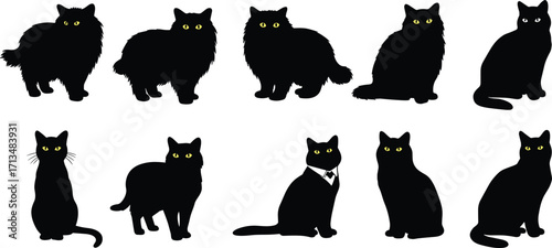 Vector illustration of black cats silhouettes with yellow eyes, domestic feline pets graphic, cute kitten icons for Halloween and design themes