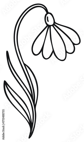 Minimalist Outline Illustration of a Snowdrop Flower with Stem and Leaves