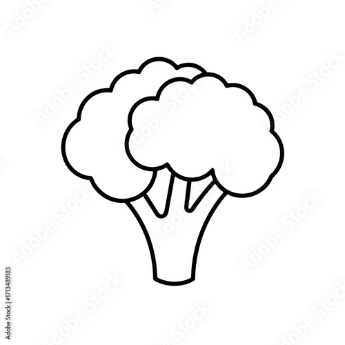 Outline drawing of a broccoli vegetable on transparent background
