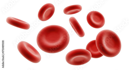 Red blood cells isolated on transparent background
