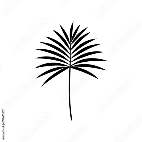 A black and white palm leaf illustration on transparent background