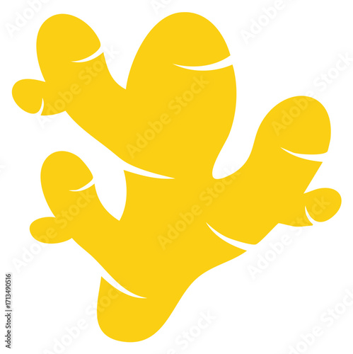 Stylized yellow ginger root illustration for culinary spice and healthy food concepts