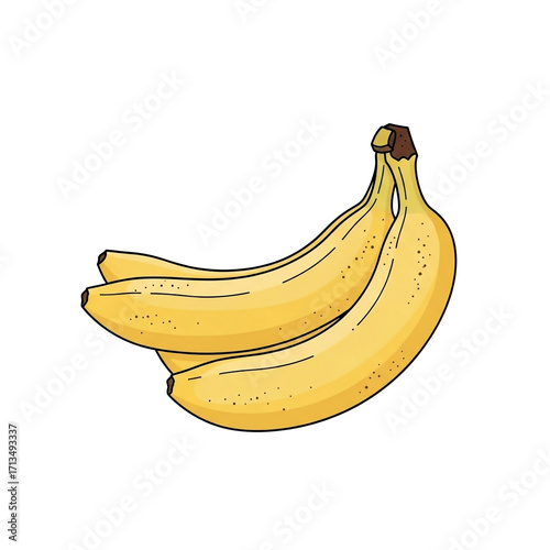 Ripe yellow bananas, a healthy tropical fruit, presented as a Vector Illustration, featuring a PNG Transparent background for design projects