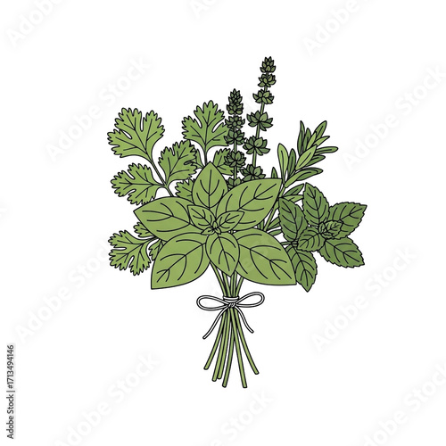 A fresh bunch of culinary herbs including basil, cilantro, rosemary, and mint, captured in a delightful vector illustration