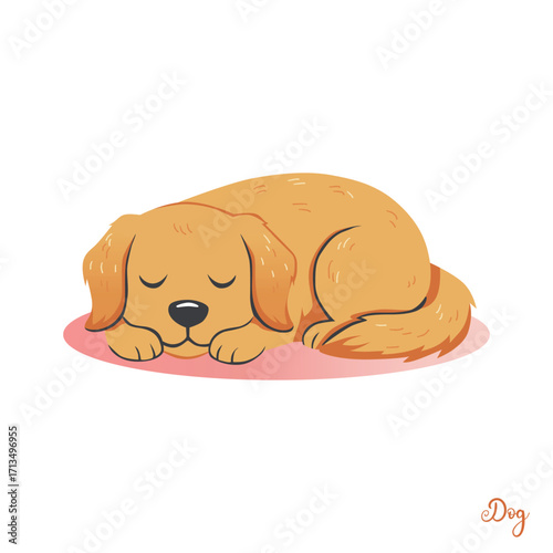 A Sleeping Golden Retriever Puppy