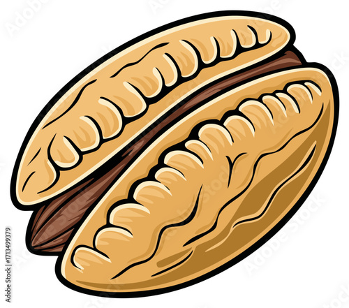 Vibrant illustration of a single pecan nut cracked open revealing its edible brown kernel