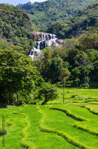 Rathna Ella, at 111 feet, is the 10th highest waterfall in Sri Lanka, situated in Kandy District. The main occupation of the villagers in Rathna Ella is paddy cultivation
