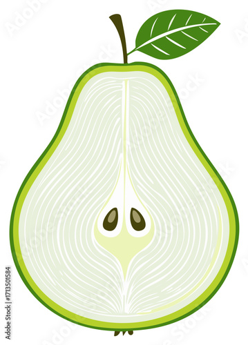 Halved Green Pear Fruit with a Leaf Illustration of a Half Cut Pear with Seeds