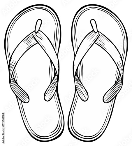 Flip-flops illustration, detailed outline design
